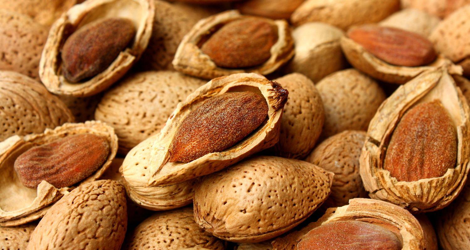 SAPIO almonds Sicily