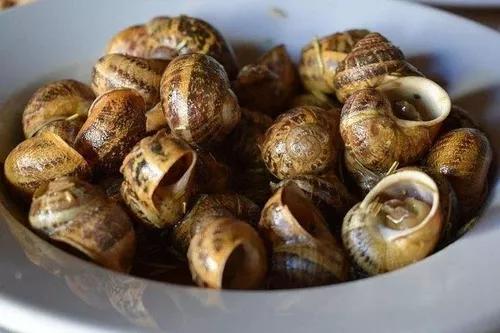 FEAST Greece Crete typical food fried snails