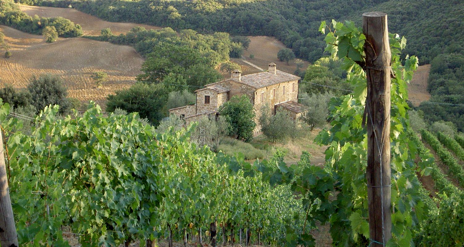 Wine Tuscany