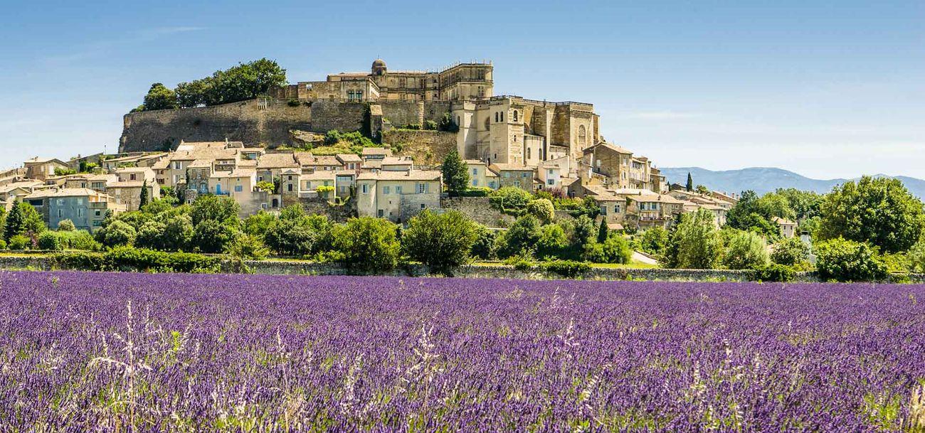 SAPIO Provence header