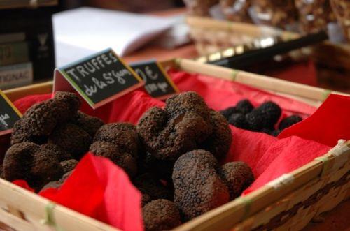 SAPIO Périgord truffle