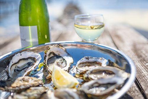 SAPIO Languedoc Sete oysters