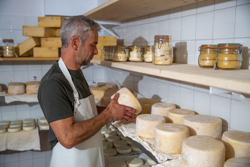 cheese maker Piemonte